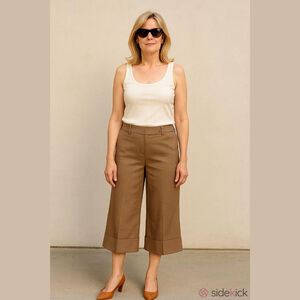 BCBGMAXAZRIA Women's Brown Size 6 Tailored Shorts